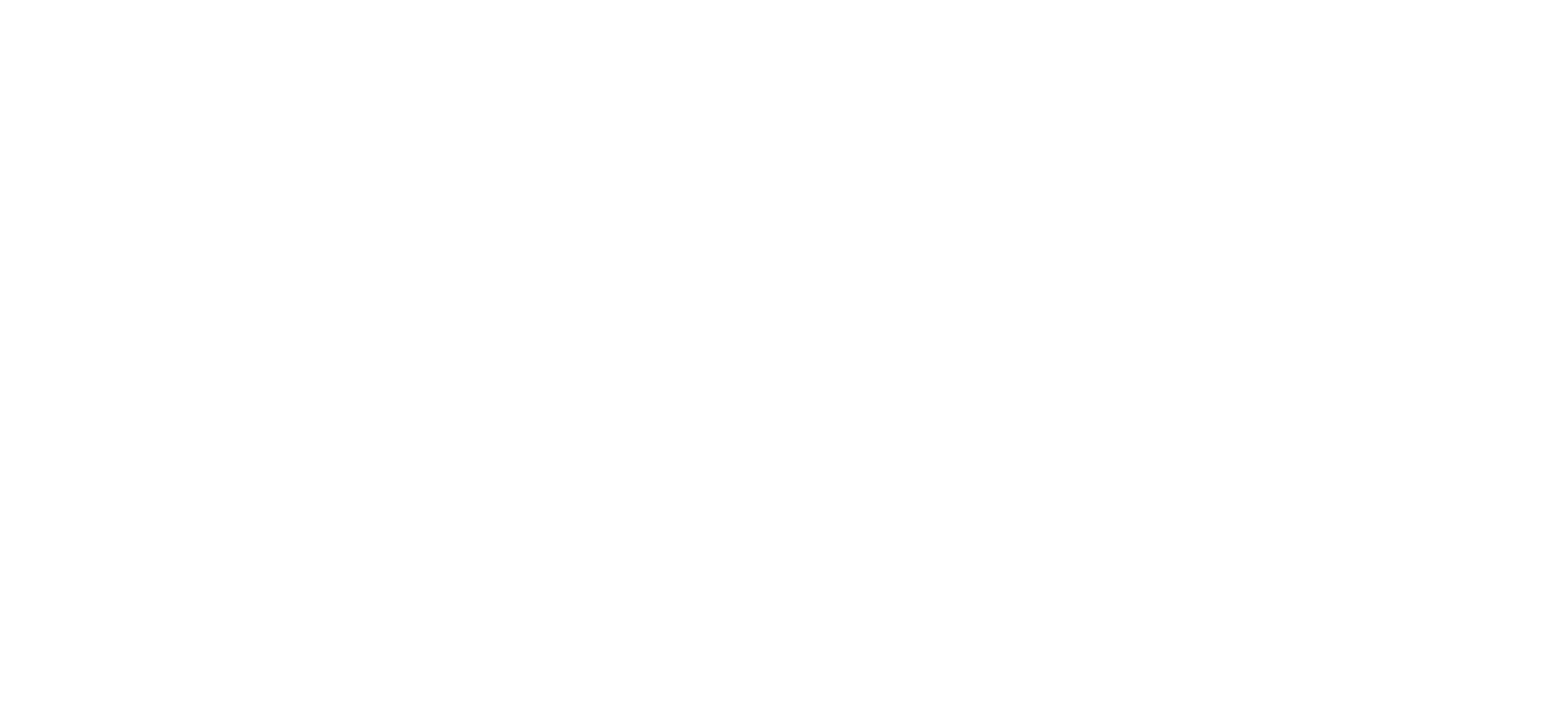 COMMUNITY TELEPHONE COMPANY INC. logo