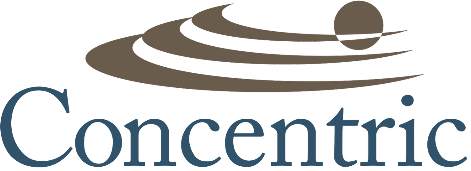 CONCENTRIC MANAGEMENT SYSTEMS, INC. logo