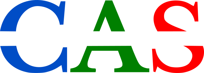 CONDITIONED AIR SYSTEMS, INC. logo