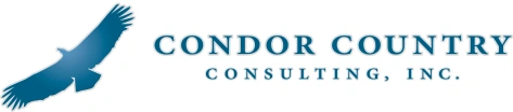 CONDOR COUNTRY CONSULTING INC logo