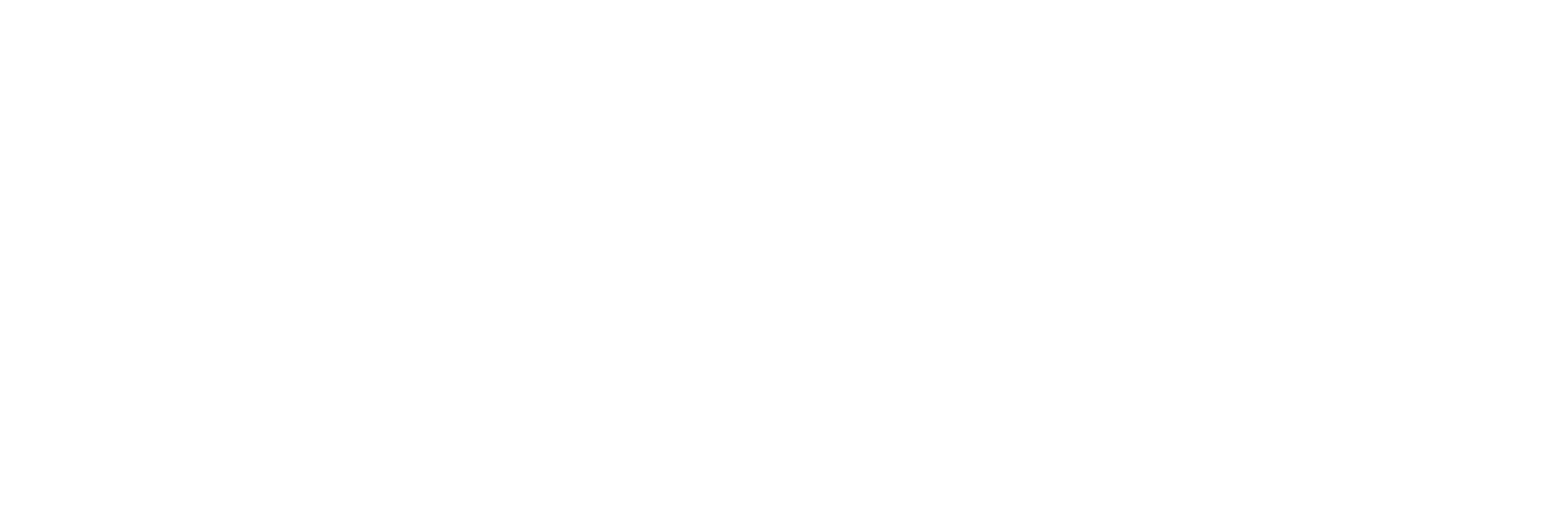 CONNECT MEDIA SOLUTIONS, LLC logo