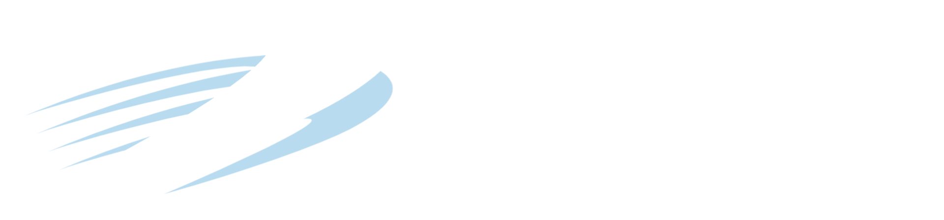 CONNECT TECH SVCS LLC logo