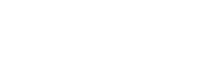 CONNECTIVITY WIRELESS LLC logo
