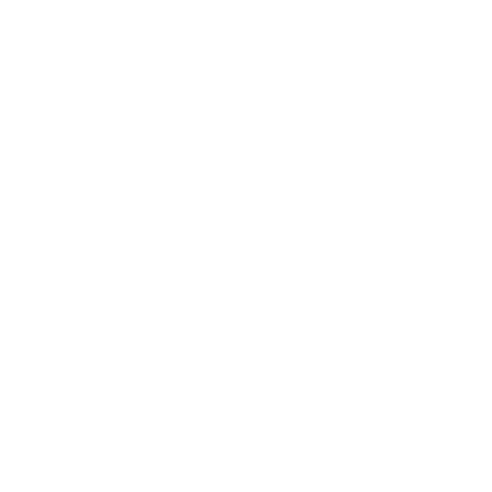 CONNETICS CONSULTING LLC logo