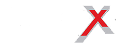 CONNEXT SECURITY SOLUTIONS INC logo