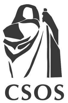 CONSERVATION OF SCULPTURE AND OBJECTS STUDIO INC logo