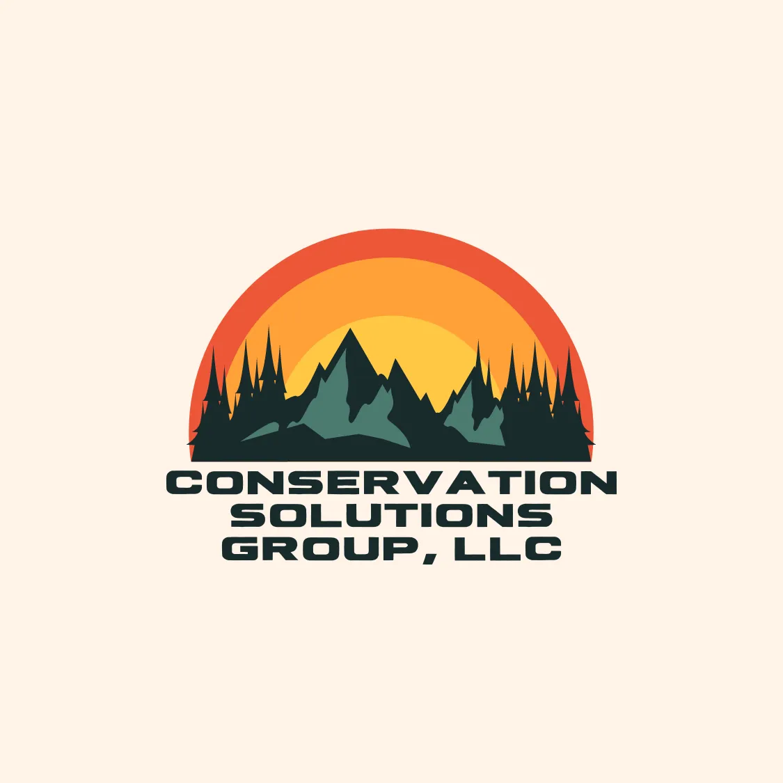 CONSERVATION SOLUTIONS GROUP LLC logo