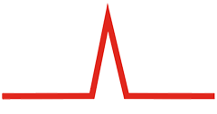 CONSOLIDATED ANALYTICAL SYSTEMS INC logo