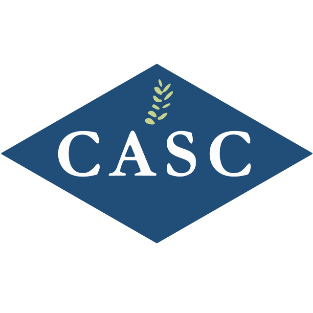 CONSOLIDATED APPRAISAL SERVICES COMPANY logo
