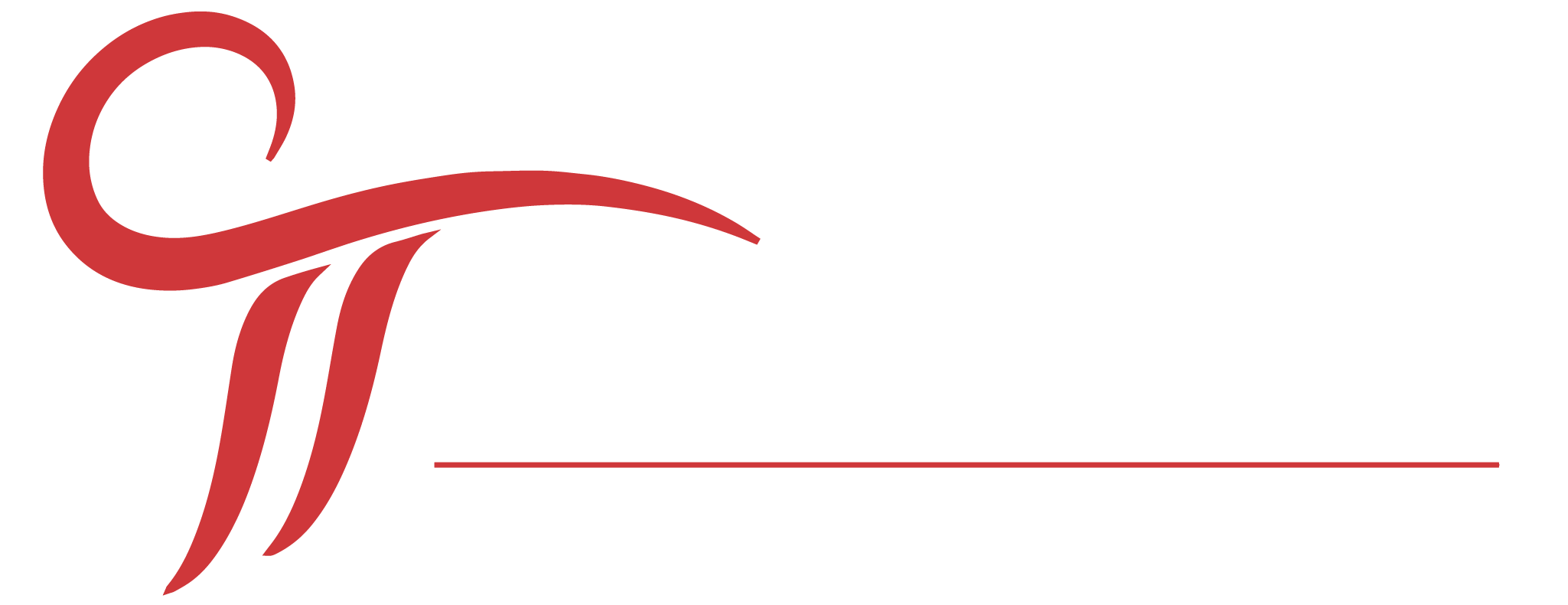 CONSTANT TECHNOLOGIES INC logo