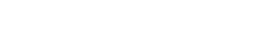 CONSTITUTION CABLE PRODUCTS logo