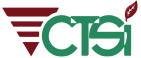 CONSULTING TESTING logo