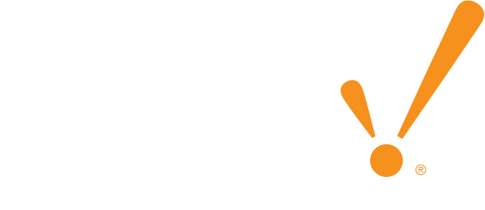CONTROL SYSTEMS ENGINEERING INC logo