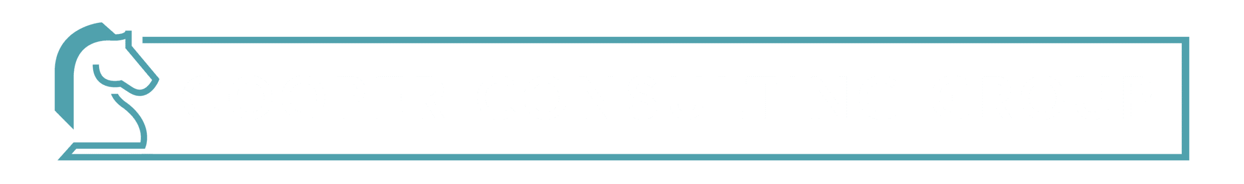 COOPER CONSULTING GROUP INC logo