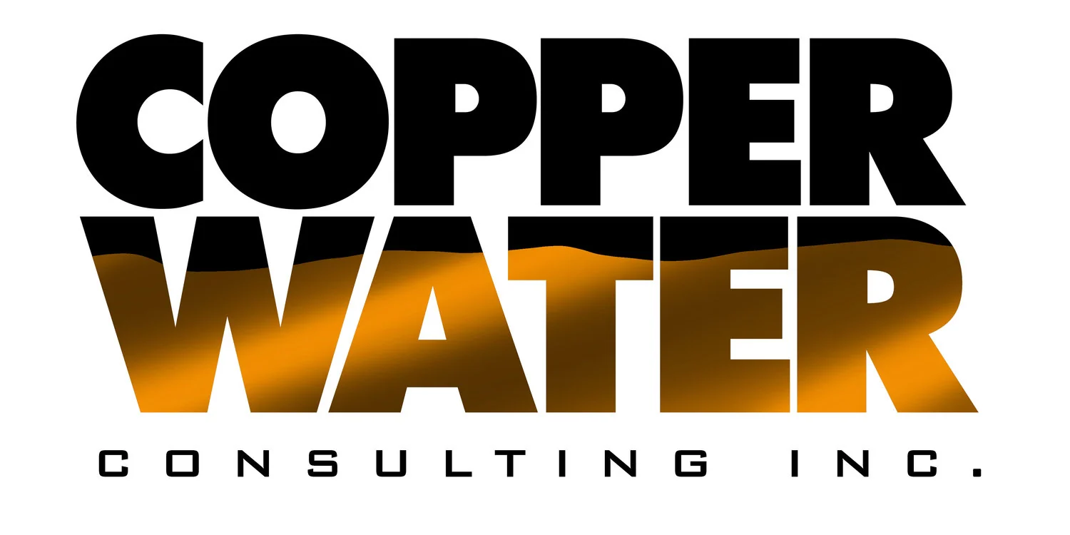 COPPERWATER CONSULTING INC logo