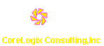 CORELOGIX CONSULTING INC logo