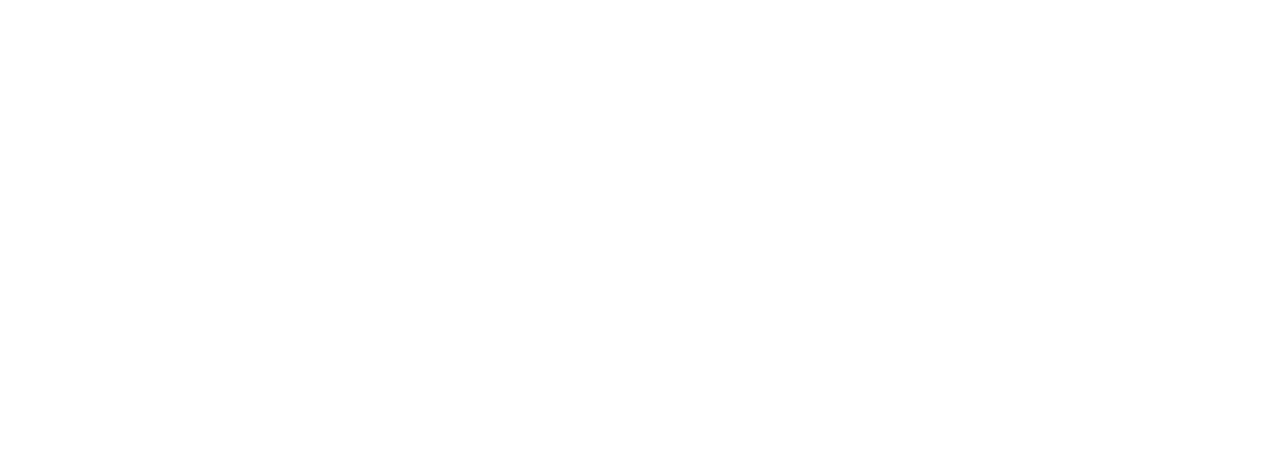 CORENTUS INC logo