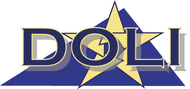 CORONET TECHNOLOGY ENTERPRISES INC logo