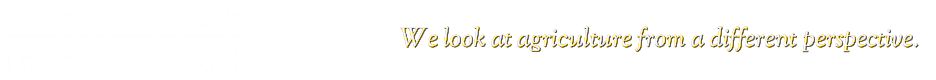 CORREIA XAVIER INC logo