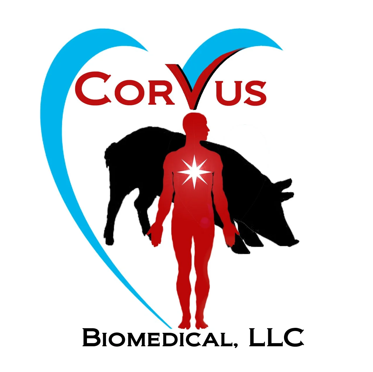 CORVUS BIOMEDICAL LLC logo