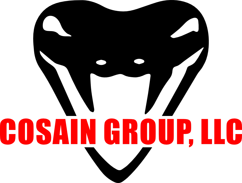 COSAIN GROUP LLC logo