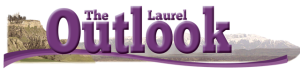 COVERT CLEANING INC logo