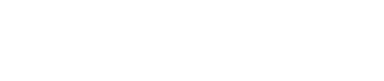 COYOTE TACTICAL SOLUTIONS LLC logo