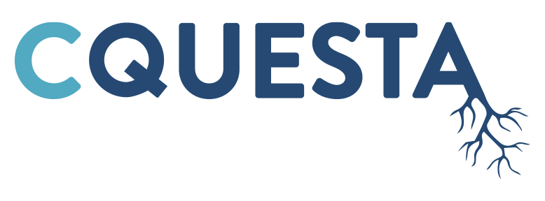 CQUESTA INC logo