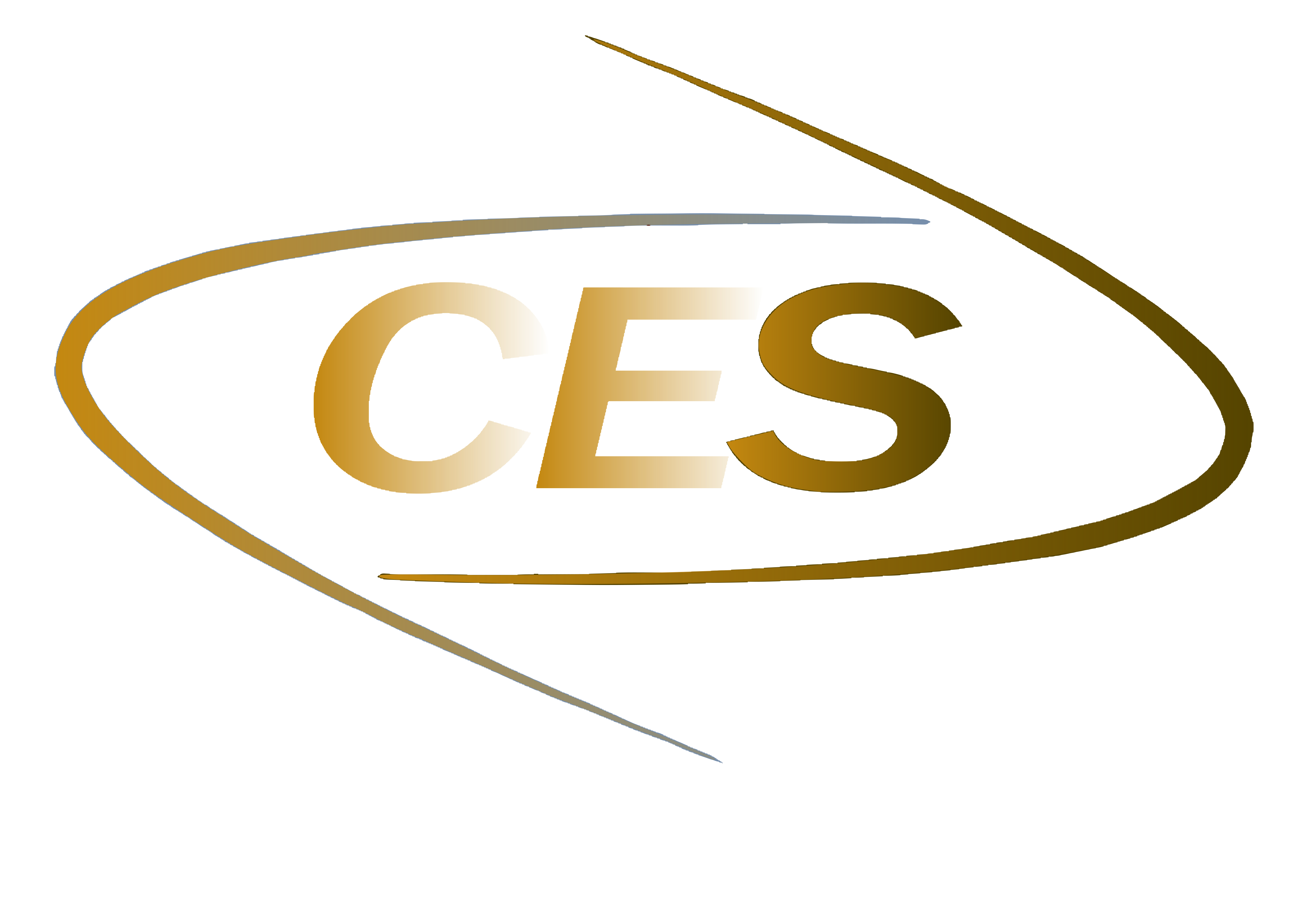 CREATIVE ENERGY SYSTEMS INC logo