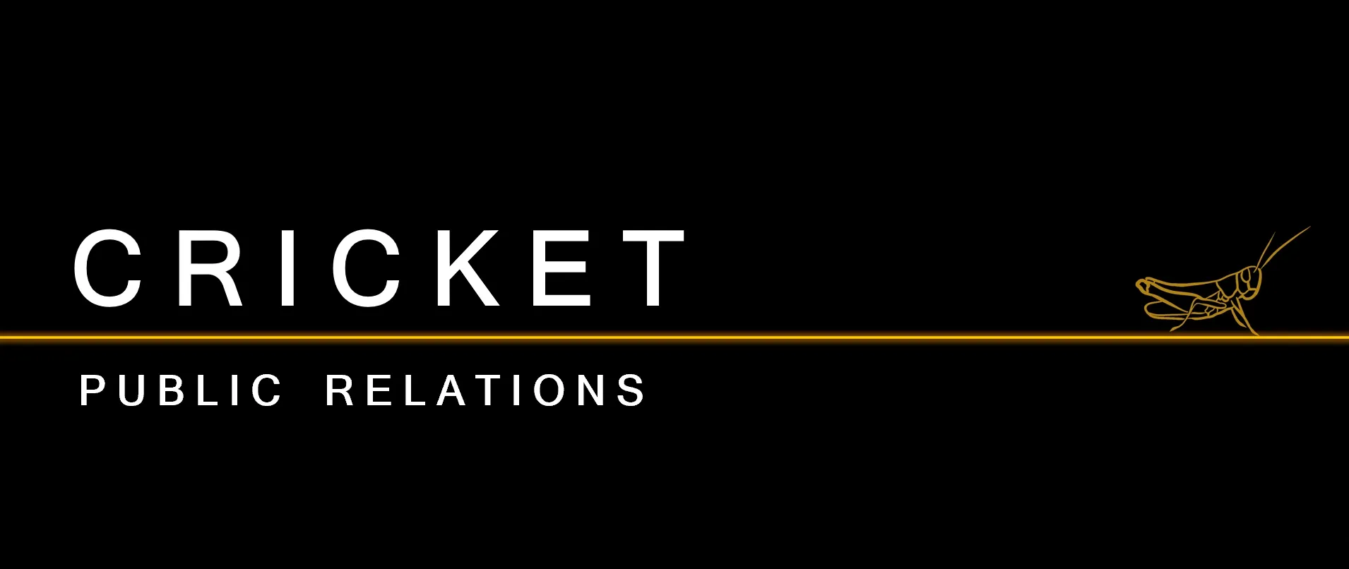 CRICKET PUBLIC RELATIONS LLC logo