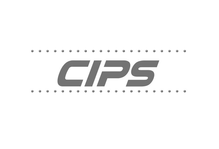 CRITICAL INFRASTRUCTURE PROTECTION SERVICES LLC logo