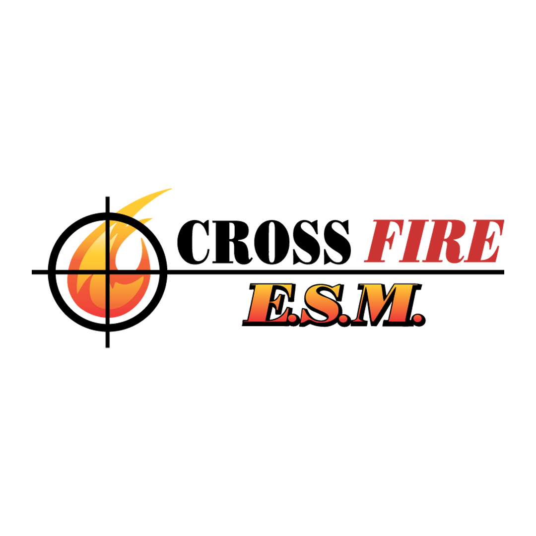 CROSSFIRE EXHAUST SYSTEM MANAGEMENT INC logo