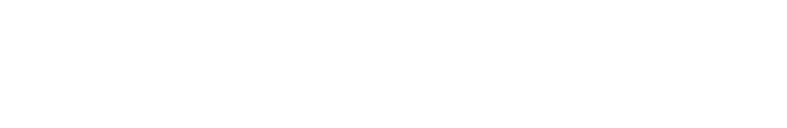 CROWN POINT TECHNOLOGIES LLC logo