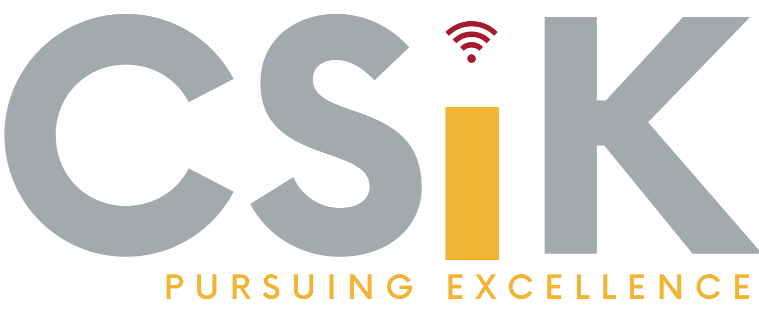CSIK CONSULTING LLC logo