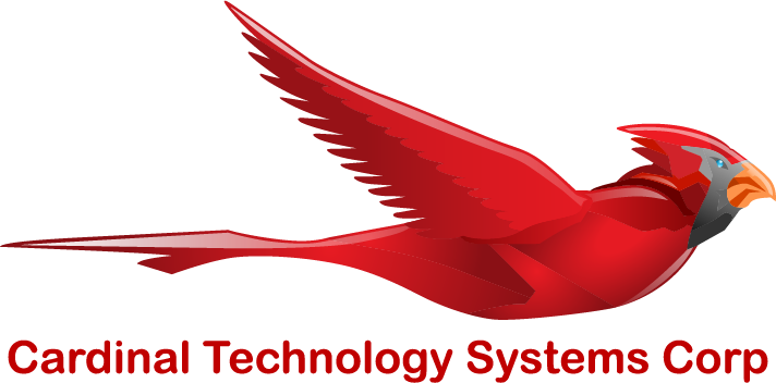 CTECH-SYS logo