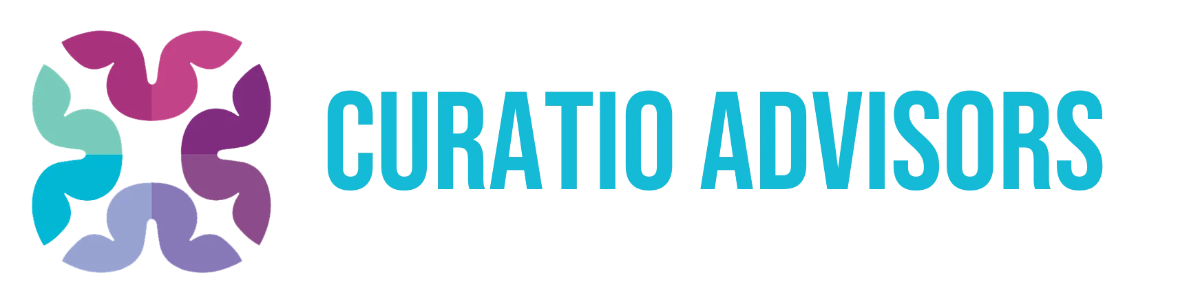 CURATIO SCIENTIA INC logo