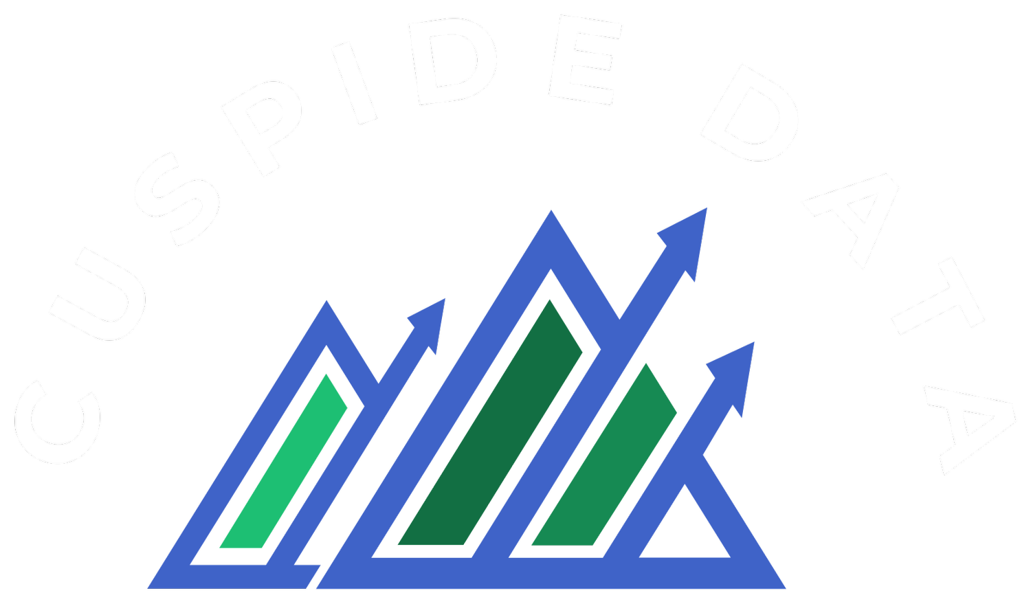 CUSPIDE DATA LLC logo