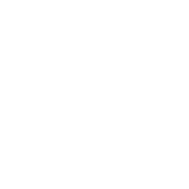 CUSTOM TRAFFIC SOLUTIONS LLC logo