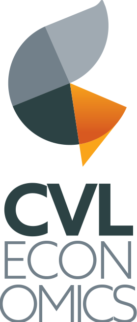 CVL ECONOMICS LLC logo