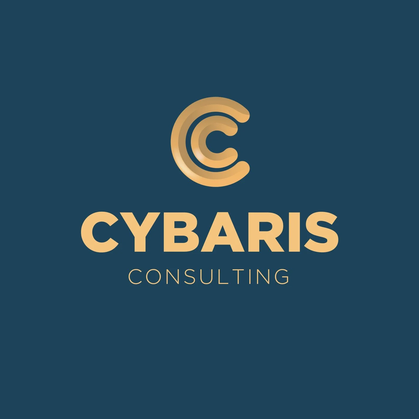 CYBARIS CONSULTING LLC logo