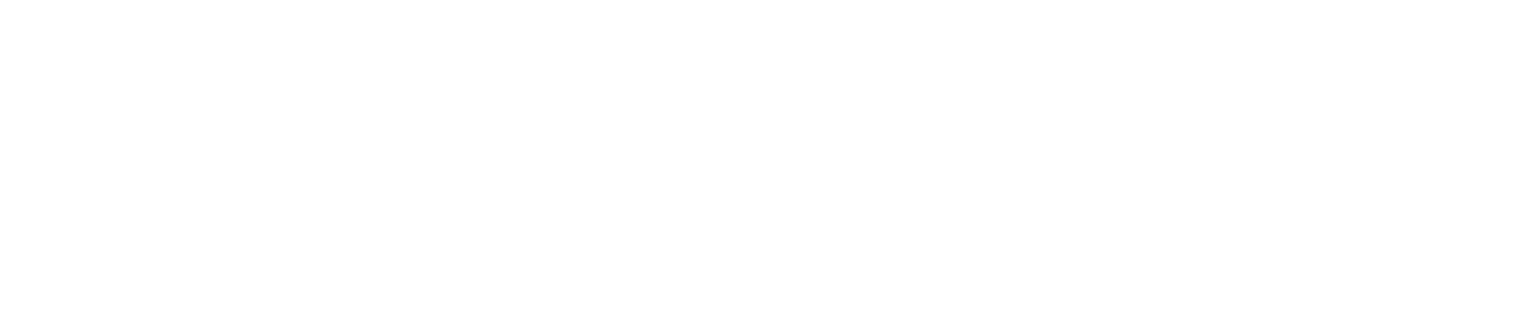 CYBER ADVISORS, LLC logo