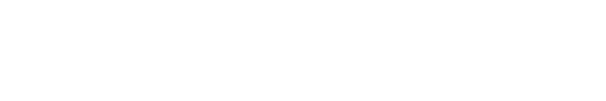 CYBER PHOENIX PRO CORP logo