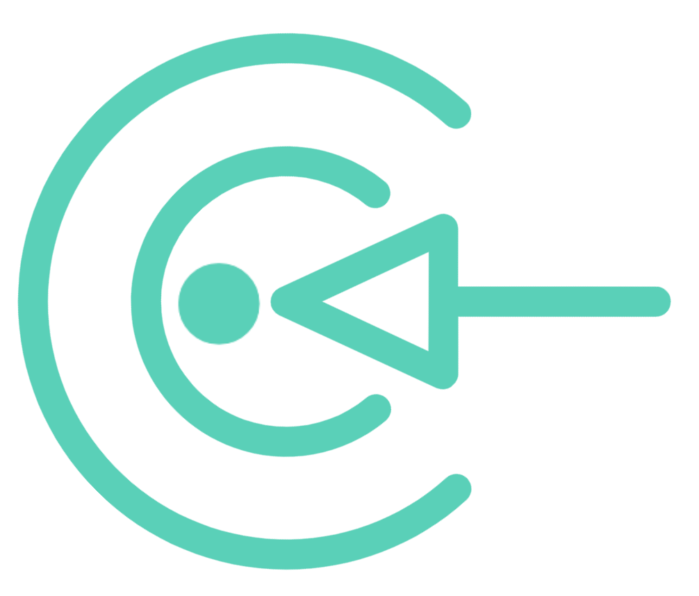 CYBER POINT ADVISORY, LLC logo