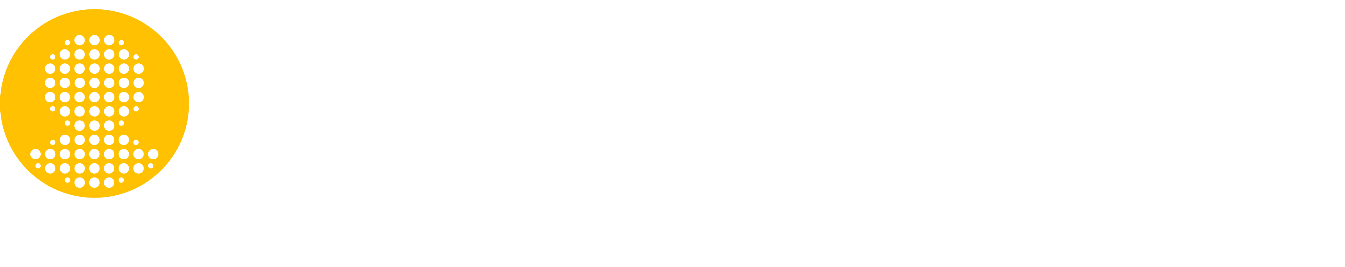 CYBER SECURITY NETWORK LLC logo