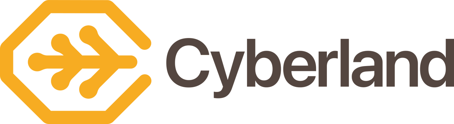 CYBERLAND SECURITY LLC logo