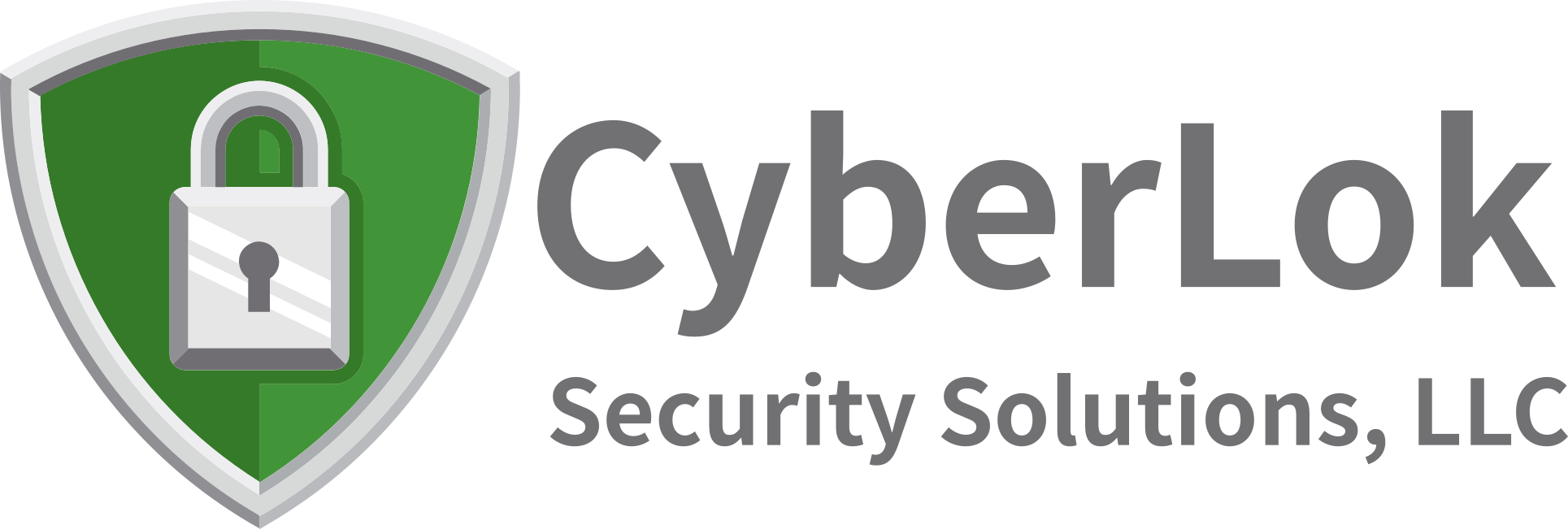 CYBERLOK SECURITY SOLUTIONS LLC logo