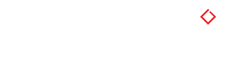 CYBERNAMIC LLC logo