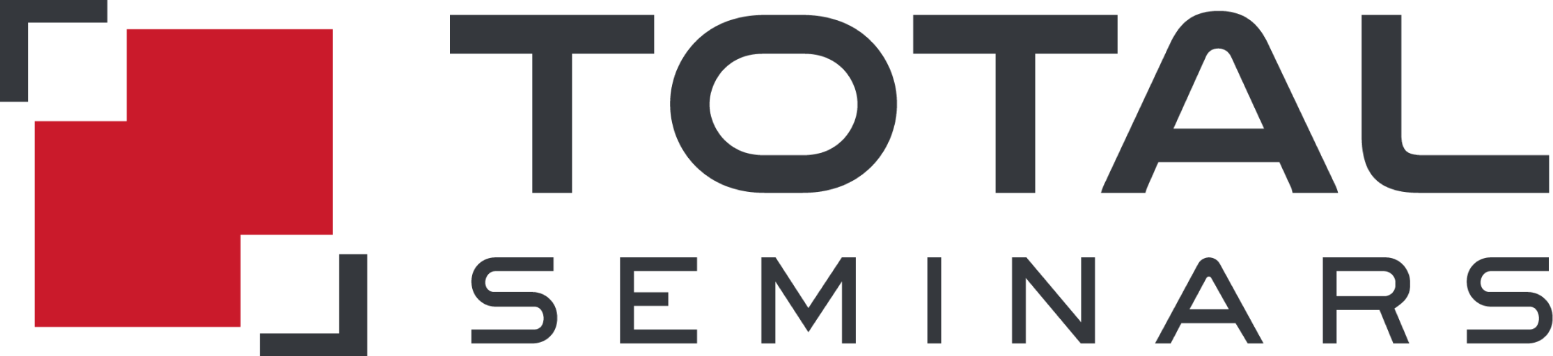 CYBERNOW LABS INSTITUTE logo