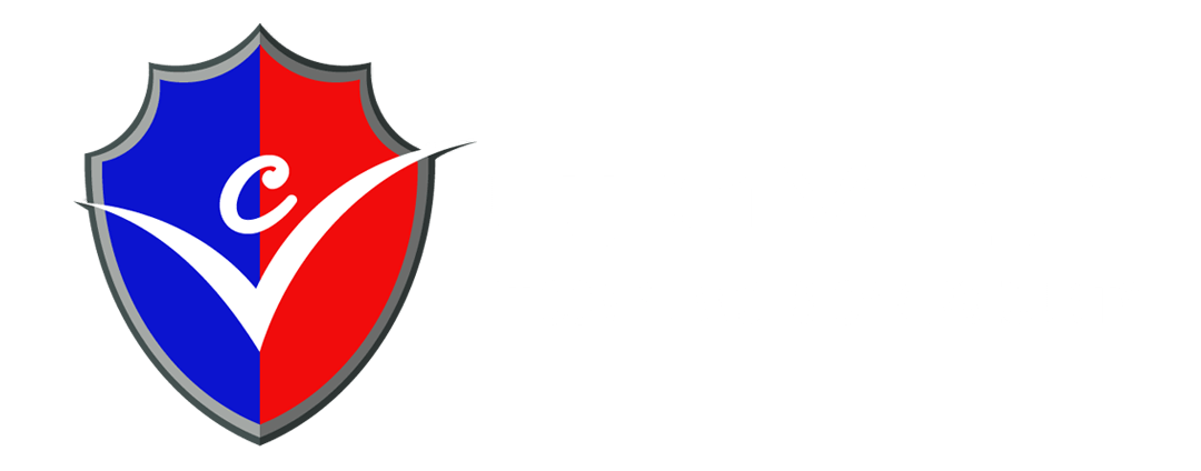 CYBERVENGER LLC logo