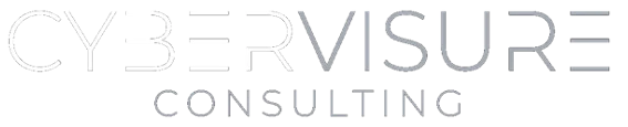 CYBERVISURE LLC logo